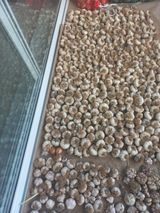 팜모닝 자유주제·자유게시판 게시글 이미지