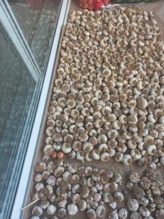 손미경(농업사랑)님의 자유주제 · 자유게시판 작성글 사진