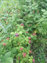 팜모닝 자유주제·자유게시판 게시글 이미지