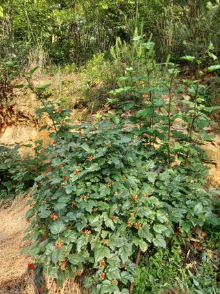손미진 님의 자유주제 · 자유게시판 작성글 사진