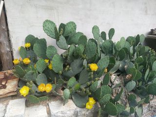 손미진 님의 자유주제 · 자유게시판 작성글 사진