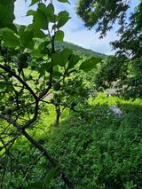 팜모닝 · 게시글 이미지