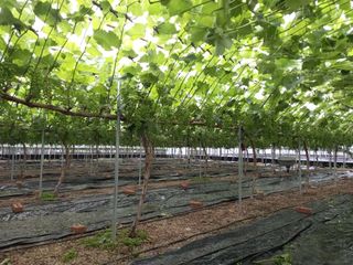 변기천님의 자유주제 · 자유게시판 작성글 사진