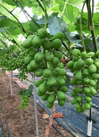 변기천님의 자유주제 · 자유게시판 작성글 사진