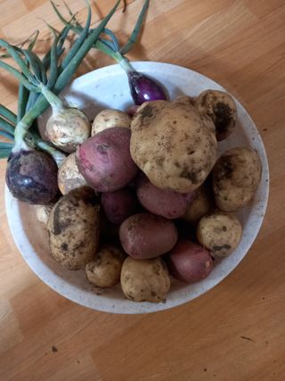 농사정보배우고싶어요님의 자유주제 · 자유게시판 작성글 사진