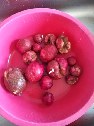 충남예산최현자님의 감자 · 병해충상담 작성글 사진