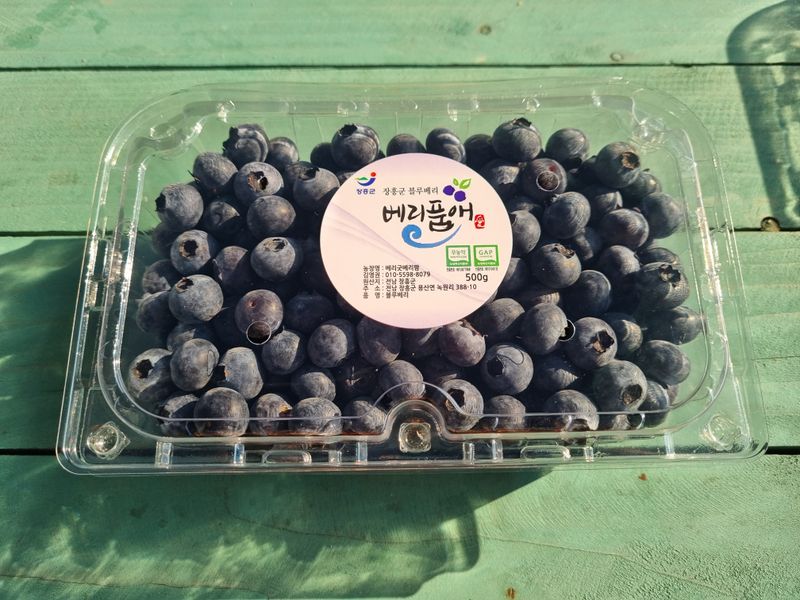 장터 상품 [블루베리 산지직판 1kg] 썸네일