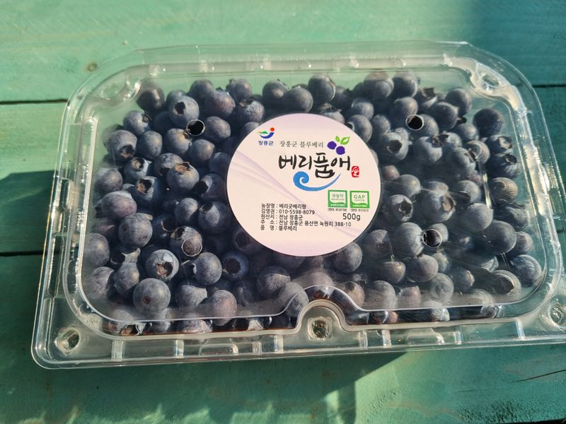 시금치3706님의 장터 판매 상품 [블루베리 산지직판 1kg] 첨부 사진