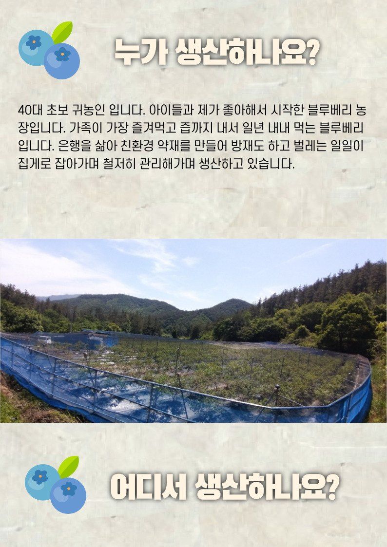 시금치3706님의 장터 판매 상품 [블루베리 산지직판 1kg] 첨부 사진