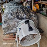 팜모닝 마늘·수확 게시글 이미지