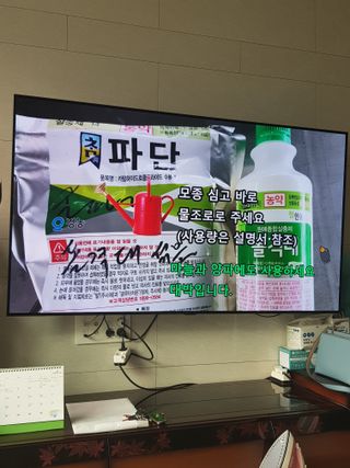 김명규님의 파 · 병해충상담 작성글 사진