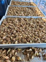 팜모닝 · 게시글 이미지