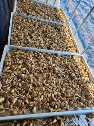 노아님의 작성글 사진