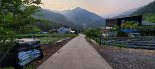 채경희님의 호박 · 자유게시판 작성글 사진