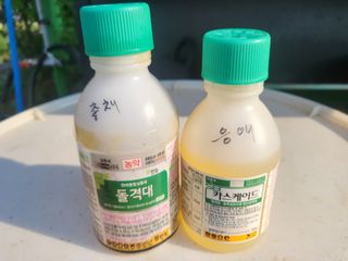 들꽃농장님의 고추 · 일상 작성글 사진