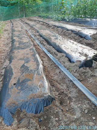 황대헌님의 참깨 · 자유게시판 작성글 사진