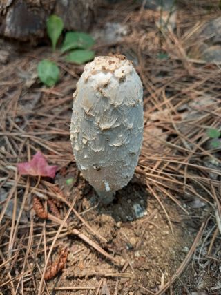 하예산방15926님의 배 · 일상 작성글 사진