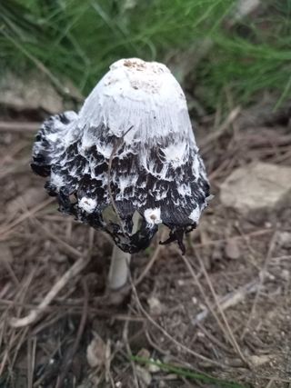 하예산방15926님의 배 · 일상 작성글 사진