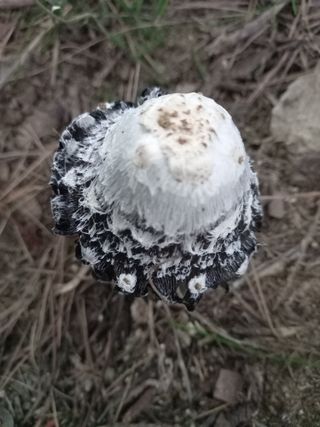 하예산방15926님의 배 · 일상 작성글 사진