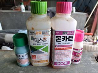 진교님의 농부님! 어떤 농약 쓰세요? · 참여 작성글 사진