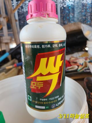 태안몽산촌님의 농부님! 어떤 농약 쓰세요? · 참여 작성글 사진