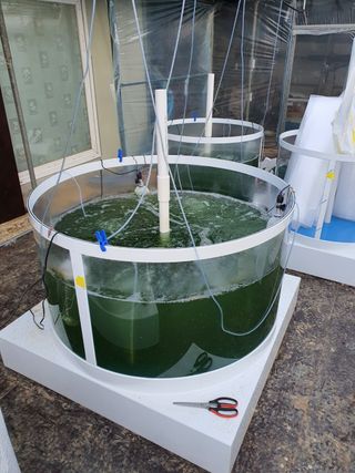 고흥박상남님의 농부님! 어떤 농약 쓰세요? · 참여 작성글 사진