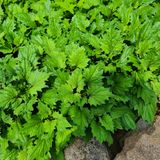 팜모닝 우리동네·동네질문 게시글 이미지