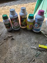 팜모닝 농부님! 어떤 농약 쓰세요?·참여 게시글 이미지