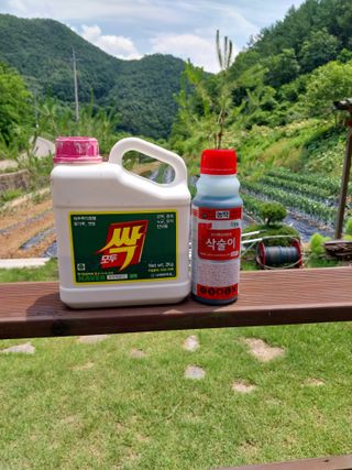 김정술님의 농부님! 어떤 농약 쓰세요? · 참여 작성글 사진