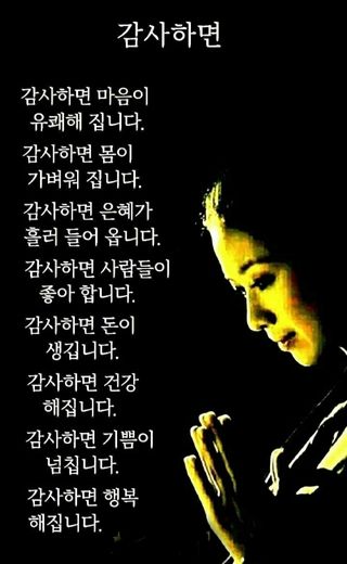미스타곰님의 마늘 · 병해충상담 작성글 사진
