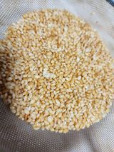 팜모닝 옥수수·자유게시판 게시글 이미지