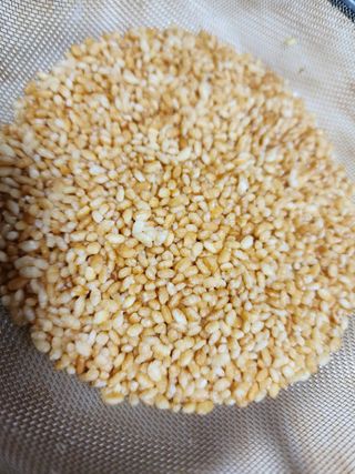 권지연.옥천.님의 옥수수 · 자유게시판 작성글 사진