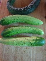 팜모닝 자유주제·사진전 게시글 이미지