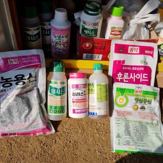 피치나라님의 농부님! 어떤 농약 쓰세요? · 참여 작성글 사진