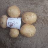 팜모닝 · 게시글 이미지