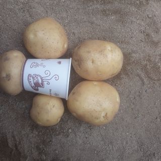 알 수 없음님의 작성글 사진