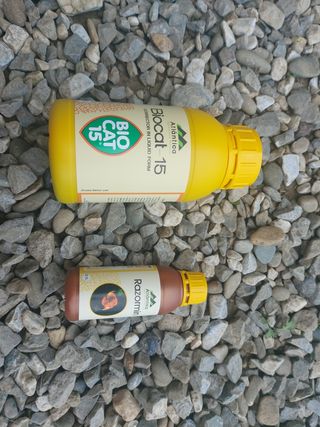 서강(Byun)님의 포도 · 영농일지 작성글 사진