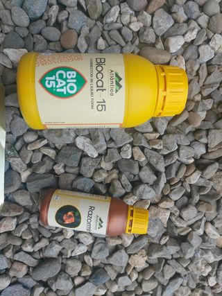 서강(Byun)님의 포도 · 영농일지 작성글 사진