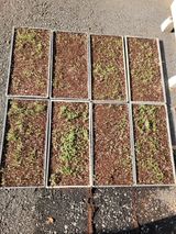 팜모닝 콩·영농일지 게시글 이미지