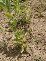 팜모닝 자유주제·자유게시판 게시글 이미지