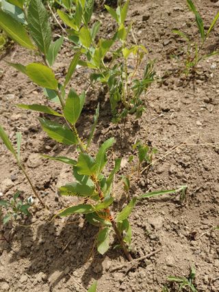 김지태님의 자유주제 · 자유게시판 작성글 사진