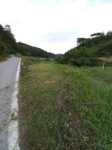 팜모닝 콩·자유게시판 게시글 이미지