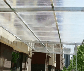 다이쏘(권자영)님의 작성글 사진