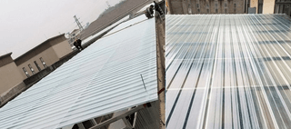 다이쏘(권자영)님의 작성글 사진