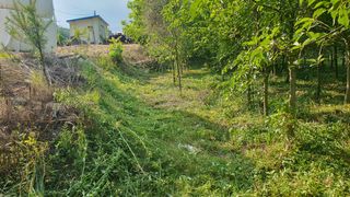 황영출님의 기타작물 · 영농일지 작성글 사진