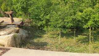 황영출님의 기타작물 · 영농일지 작성글 사진