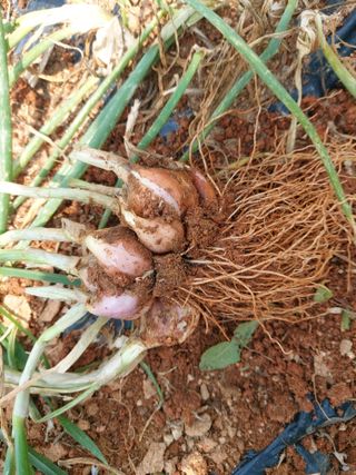 이명규님의 자유주제 · 자유게시판 작성글 사진