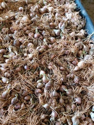 이명규님의 자유주제 · 자유게시판 작성글 사진