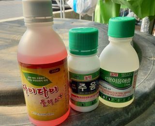 변기천님의 농부님! 어떤 농약 쓰세요? · 참여 작성글 사진