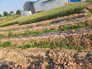 최승일님의 작성글 사진